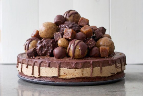 Peanut butter cup chocolate fudge brownie birthday cake